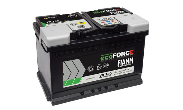 FIAMM ECOFORCE AGM